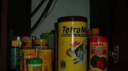 Das liebste meiner Fische :D