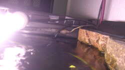 Verkabelungen, Filter und Mondlicht