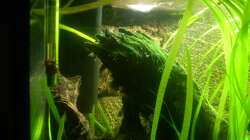 Fluval 2 Innenfilter