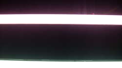 Bleuchtung mit JBL Clolour und Dennerle Amazon Day