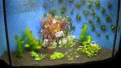 Neueinrichtung 15.05.2010