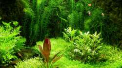 Hauptansicht 11.03.2008