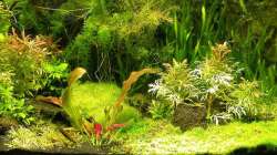 Hauptansicht 29.10.2007