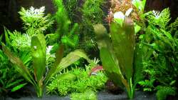 Hauptansicht 24.07.2009