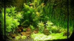 Hauptansicht 08.08.2007