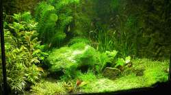 Hauptansicht 30.12.2007