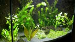 Hauptansicht 15.04.2009