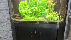 Ein Abschiedsbild vom 29.12.2018