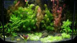 Hauptansicht 23.09.2008