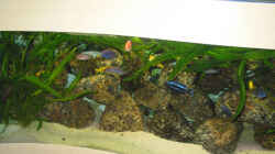 Aquarium Becken 607