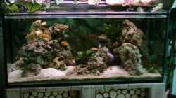 Aquarium Becken 621