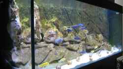 Aquarium Becken 6271