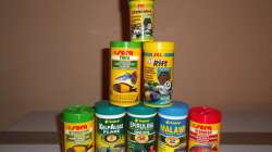 Technik im Aquarium Bilskirnir