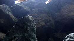 Pflanzen im Aquarium Bilskirnir