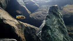 Dekoration im Aquarium Bilskirnir