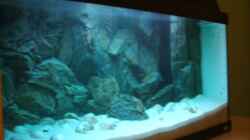 Aquarium Becken 6354