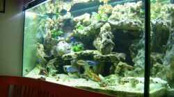 Aquarium Becken 6558