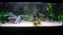 Aquarium Becken 674