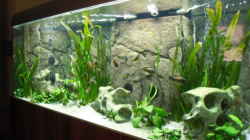 Aquarium Becken 6888