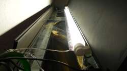 Hintere Röhre komplett verdunkelt.