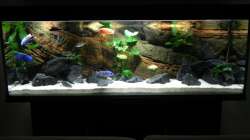 Aquarium Zu Verkaufen !!!