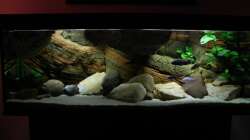 Aquarium Zu Verkaufen !!!