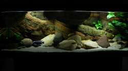 Aquarium Zu Verkaufen !!!