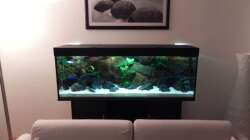 Aquarium Zu Verkaufen !!!