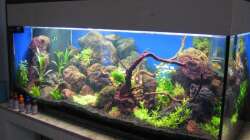 mit Abdeckung nach 4 Wochen