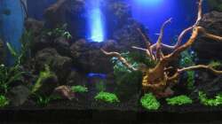 Einrichtung Ende Juni