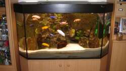 Becken Front (Nachtaufnahme)