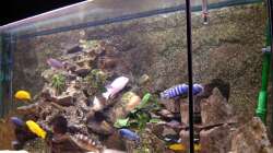 Becken schräg rechts