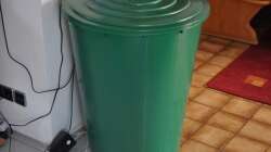 Ersatzbecken für die Fische :-)