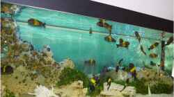 Aquarium Becken 7548