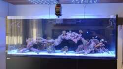 Aquarium Reef Dream
