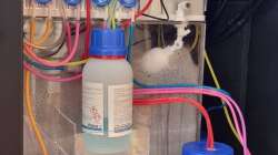 Technik im Aquarium Reef Dream