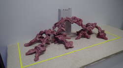 Dekoration im Aquarium Reef Dream