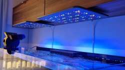 Technik im Aquarium Reef Dream