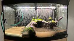 Der Strand und Küstenbereich steht schon mal. 