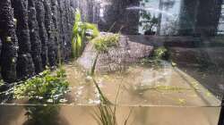 Aquarium Unterwasserinsel