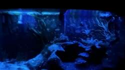 Meine Unterwasserinsel