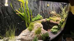 Aquarium Unterwasserinsel