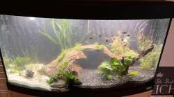 Aquarium Unterwasserinsel