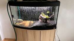 Die Idee ? ist im Kopf 