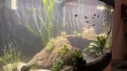 Aquarium Unterwasserinsel