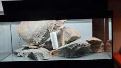 Bei der Vorbereitung