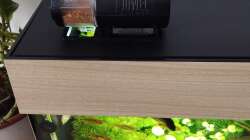 Technik im Aquarium Gesellschaftsbecken Süd Ost Asien