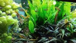 Aufnahme vom 13.09.2025