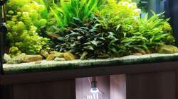 Und noch ein Fach im Schrank geändert.