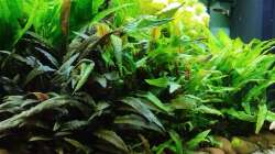 Aufnahme vom 13.09.2025